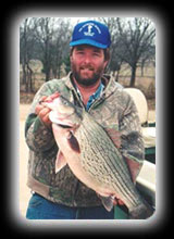 Hybrid Striped Bass