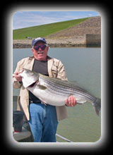 36lb 5oz Striper