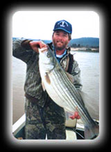 Illinois River Striper