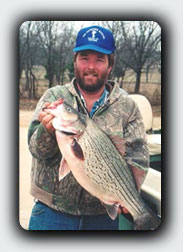 Hybrid Striped Bass