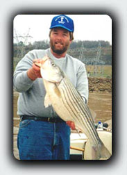 Striped Bass