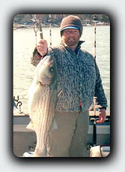 33 lb striper