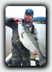 Illinois River Striper