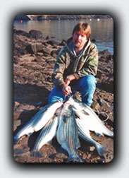 A limit of trophy striper bass